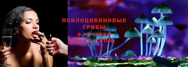 прущие грибы Алзамай