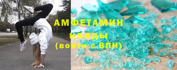 прущие грибы Алзамай