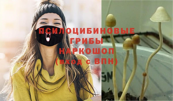 МДМА Алексин