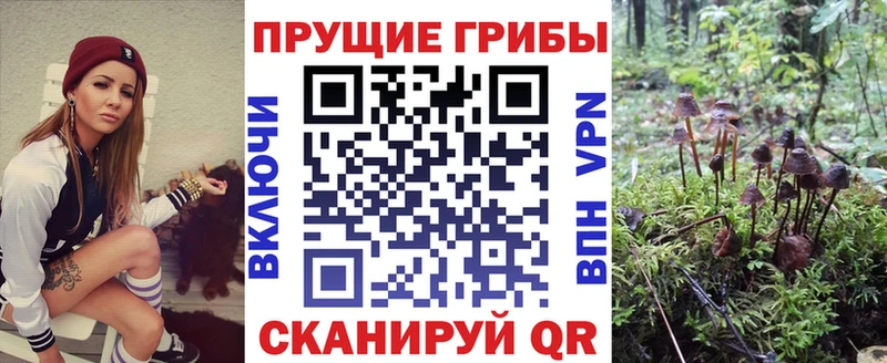 наркотики  blacksprut рабочий сайт  Псилоцибиновые грибы ЛСД  Алзамай 
