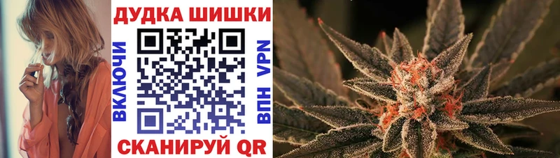 как найти   Алзамай  Каннабис Amnesia 